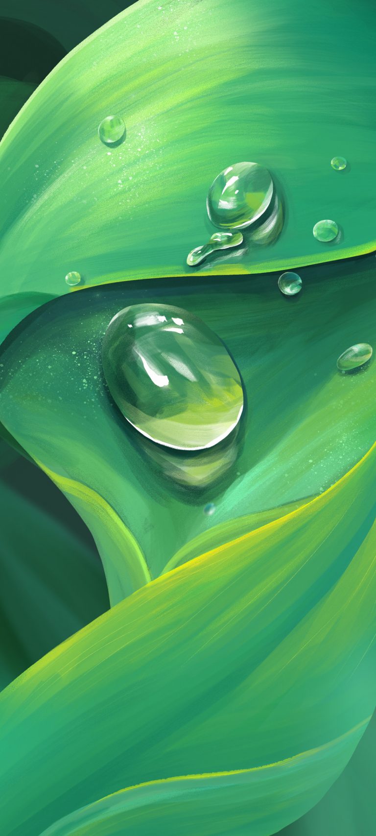绿色植物水珠清新护眼手机壁纸