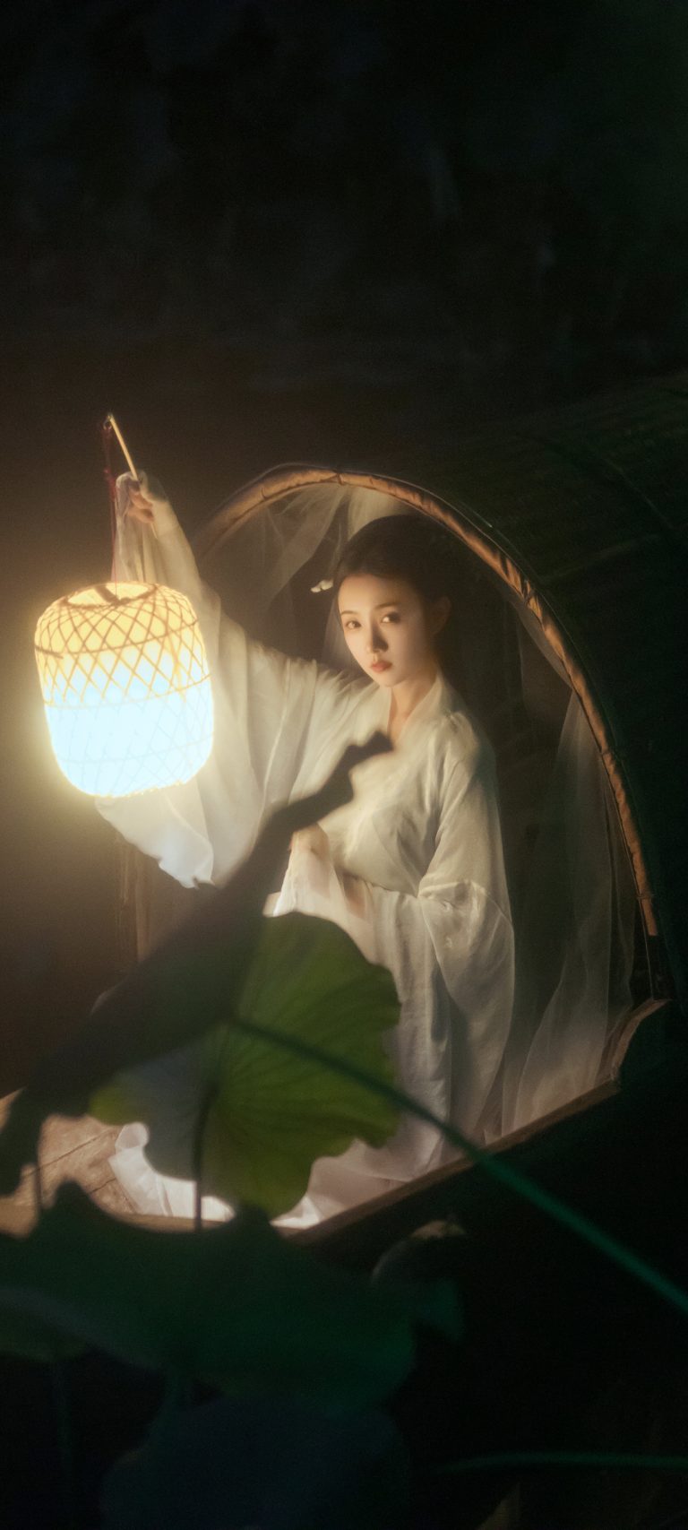 艺图语《霜莲子》 唯美意境古风美女