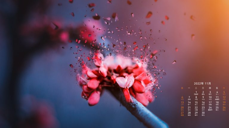 花涅 梅花 冬梅 电脑高清壁纸