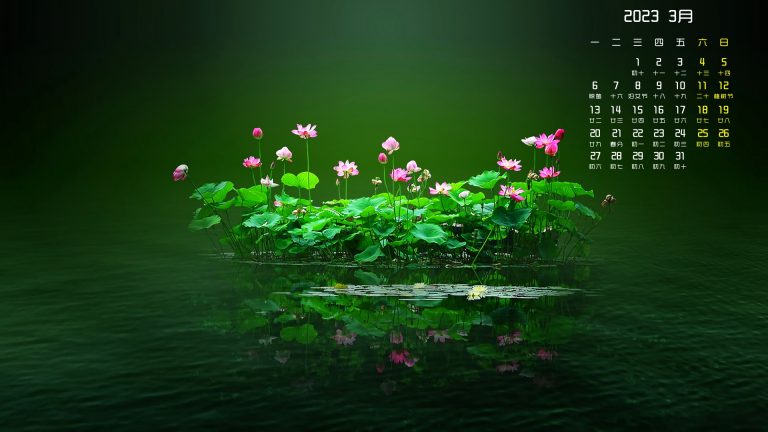 荷花2023年3月日历桌面壁纸