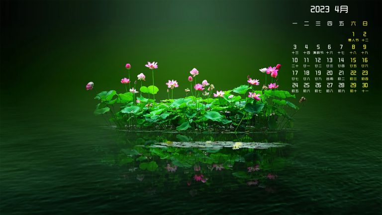 荷花2023年4月日历桌面壁纸